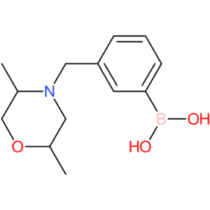(3-[(2,5-dimethylmorpholin-4-yl)methyl]phenyl)boronic acid