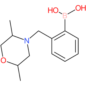 (2-[(2,5-dimethylmorpholin-4-yl)methyl]phenyl)boronic acid