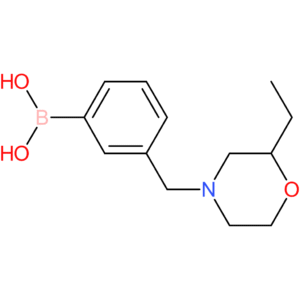 (3-[(2-ethylmorpholin-4-yl)methyl]phenyl)boronic acid