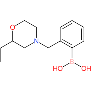 (2-[(2-ethylmorpholin-4-yl)methyl]phenyl)boronic acid