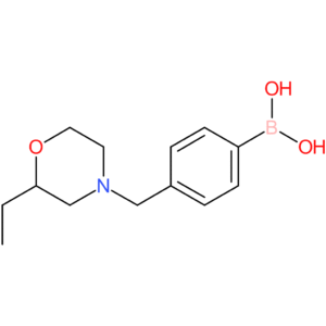 (4-[(2-ethylmorpholin-4-yl)methyl]phenyl)boronic acid