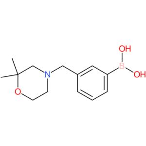 (3-[(2,2-dimethylmorpholin-4-yl)methyl]phenyl)boronic acid