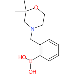 (2-[(2,2-dimethylmorpholin-4-yl)methyl]phenyl)boronic acid