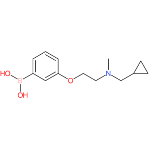(3-(2-[(cyclopropylmethyl)(methyl)amino]ethoxy)phenyl)boronic acid