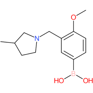 (4-methoxy-3-[(3-methylpyrrolidin-1-yl)methyl]phenyl)boronic acid