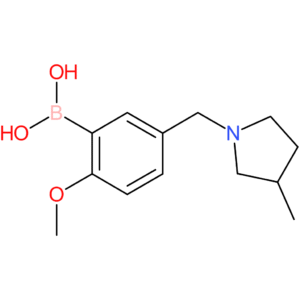 (2-methoxy-5-[(3-methylpyrrolidin-1-yl)methyl]phenyl)boronic acid
