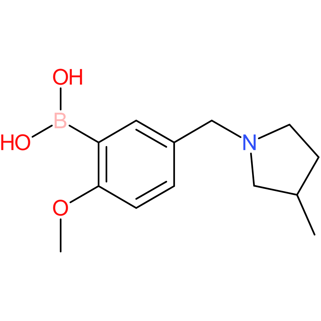 (2-methoxy-5-[(3-methylpyrrolidin-1-yl)methyl]phenyl)boronic acid