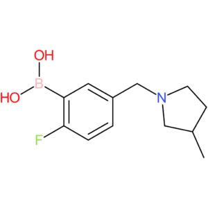 (2-fluoro-5-[(3-methylpyrrolidin-1-yl)methyl]phenyl)boronic acid