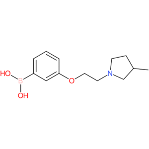 (3-[2-(3-methylpyrrolidin-1-yl)ethoxy]phenyl)boronic acid