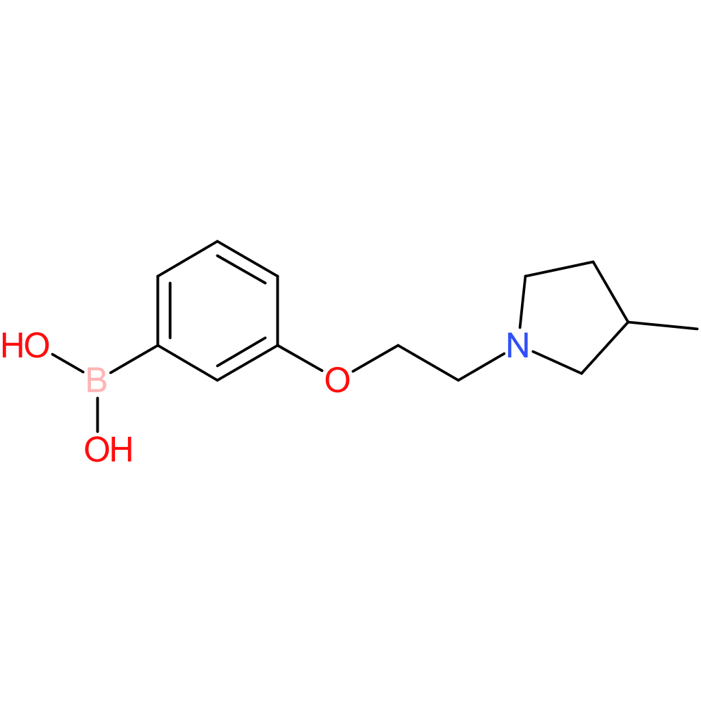 (3-[2-(3-methylpyrrolidin-1-yl)ethoxy]phenyl)boronic acid