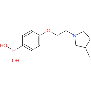 (4-[2-(3-methylpyrrolidin-1-yl)ethoxy]phenyl)boronic acid