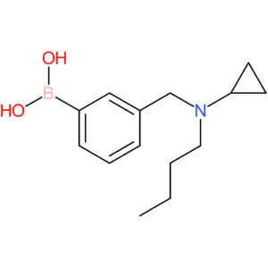 (3-([butyl(cyclopropyl)amino]methyl)phenyl)boronic acid