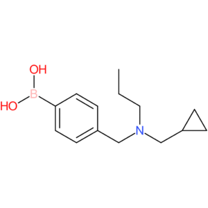(4-([(cyclopropylmethyl)(propyl)amino]methyl)phenyl)boronic acid