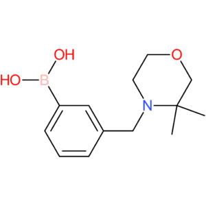 (3-[(3,3-dimethylmorpholin-4-yl)methyl]phenyl)boronic acid