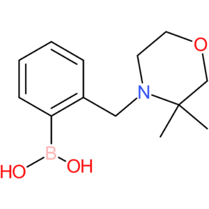 (2-[(3,3-dimethylmorpholin-4-yl)methyl]phenyl)boronic acid