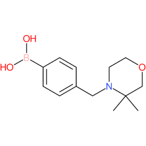 (4-[(3,3-dimethylmorpholin-4-yl)methyl]phenyl)boronic acid