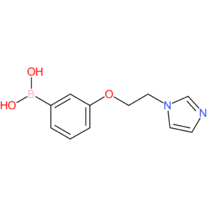 (3-[2-(1h-imidazol-1-yl)ethoxy]phenyl)boronic acid