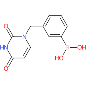 (3-[(2,4-dioxo-1,2,3,4-tetrahydropyrimidin-1-yl)methyl]phenyl)boronic acid