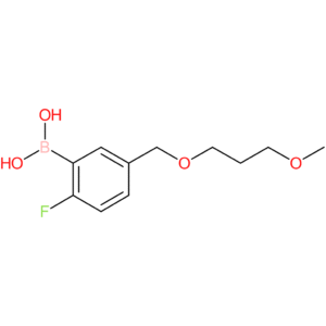 (2-fluoro-5-[(3-methoxypropoxy)methyl]phenyl)boronic acid