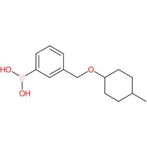 (3-([(4-methylcyclohexyl)oxy]methyl)phenyl)boronic acid