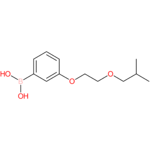 (3-[2-(2-methylpropoxy)ethoxy]phenyl)boronic acid