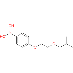 (4-[2-(2-methylpropoxy)ethoxy]phenyl)boronic acid