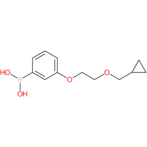 (3-[2-(cyclopropylmethoxy)ethoxy]phenyl)boronic acid