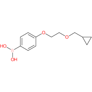 (4-[2-(cyclopropylmethoxy)ethoxy]phenyl)boronic acid