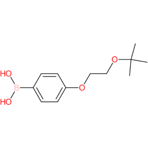 (4-[2-(tert-butoxy)ethoxy]phenyl)boronic acid