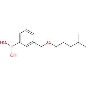 (3-([(4-methylpentyl)oxy]methyl)phenyl)boronic acid