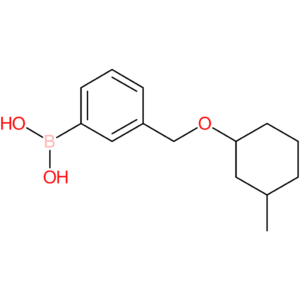 (3-([(3-methylcyclohexyl)oxy]methyl)phenyl)boronic acid