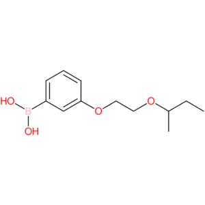 (3-[2-(butan-2-yloxy)ethoxy]phenyl)boronic acid