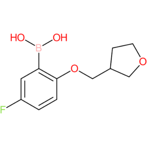 [5-fluoro-2-(oxolan-3-ylmethoxy)phenyl]boranediol