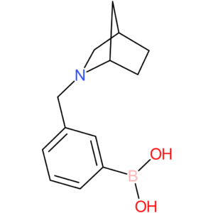 (3-(2-azabicyclo[2.2.1]heptan-2-ylmethyl)phenyl)boronic acid