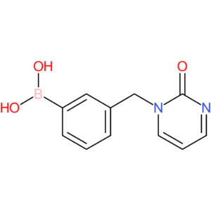(3-[(2-oxo-1,2-dihydropyrimidin-1-yl)methyl]phenyl)boronic acid
