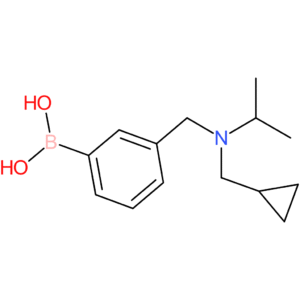 (3-([(cyclopropylmethyl)(propan-2-yl)amino]methyl)phenyl)boronic acid