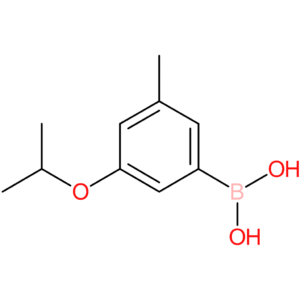 3-isopropoxy-5-methylphenylboronic acid