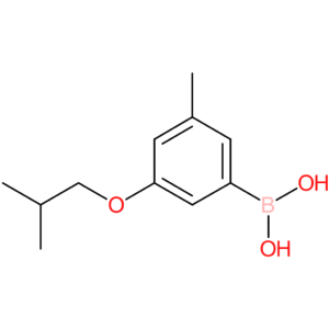 3-isobutoxy-5-methylphenylboronic acid