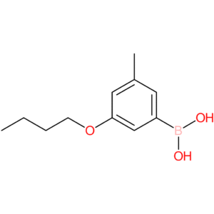 3-butoxy-5-methylphenylboronic acid