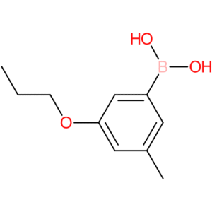 3-methyl-5-propoxyphenylboronic acid