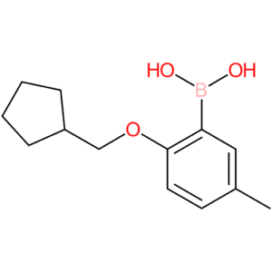 [2-(cyclopentylmethoxy)-5-methylphenyl]boronic acid