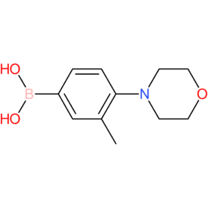 3-methyl-4-morpholinophenylboronic acid