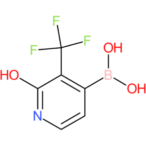 2-hydroxy-3-(trifluoromethyl)pyridine-4-boronic acid