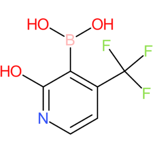 2-hydroxy-4-(trifluoromethyl)pyridine-3-boronic acid