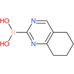 [5,6,7,8-tetrahydroquinazolin-2-yl]boronic acid