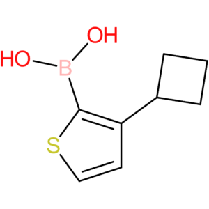 3-(cyclobutyl)thiophene-2-boronic acid