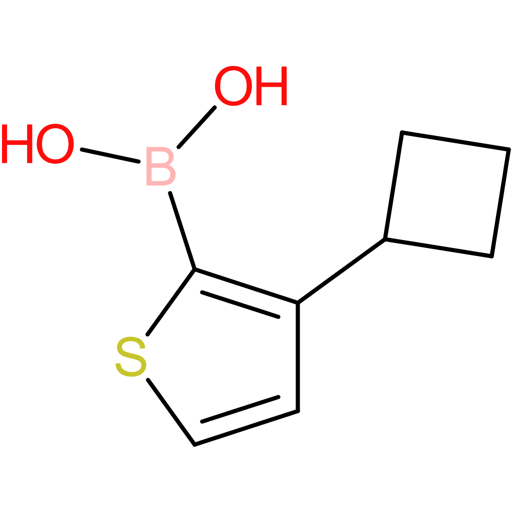 3-(cyclobutyl)thiophene-2-boronic acid