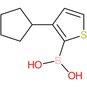 3-(cyclopentyl)thiophene-2-boronic acid