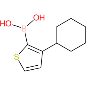 3-(cyclohexyl)thiophene-2-boronic acid