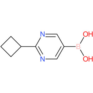 (2-cyclobutylpyrimidin-5-yl)boronic acid